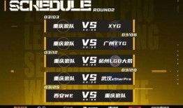 狼队老林爆料最新消息,最新消息揭秘球队动态与幕后故事